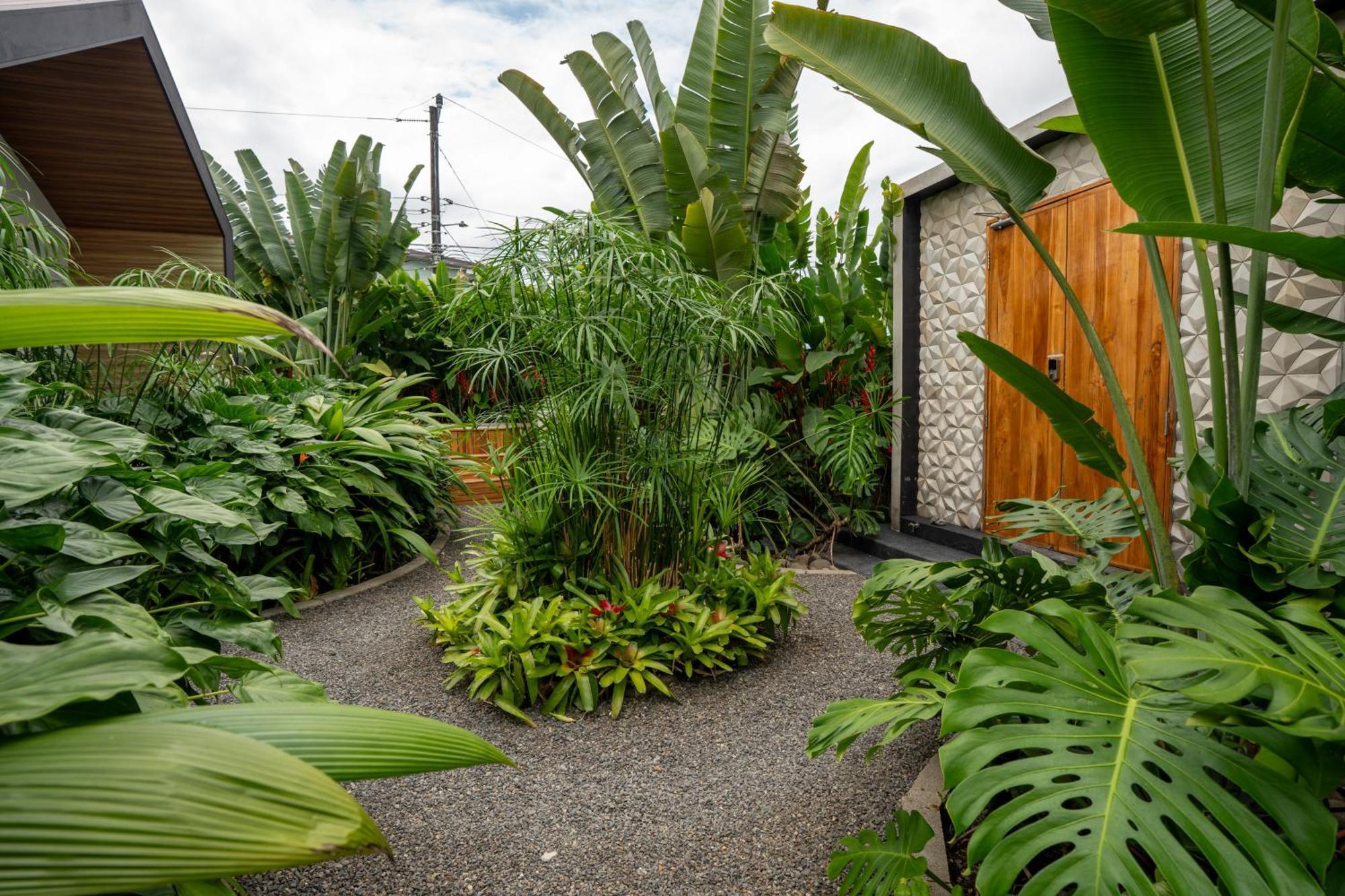 Suwa Villa Arenal La Fortuna Eksteriør bilde