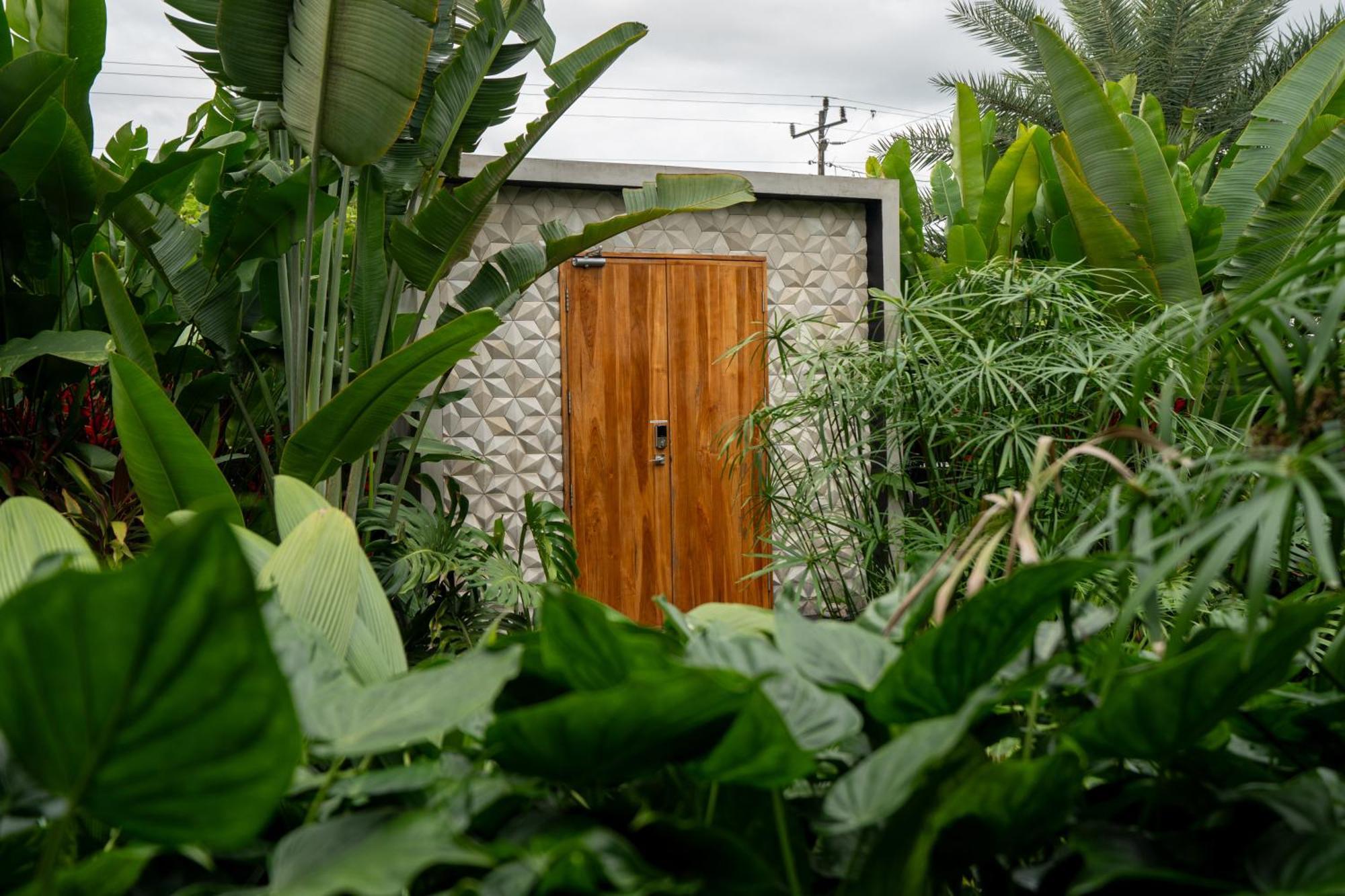 Suwa Villa Arenal La Fortuna Eksteriør bilde